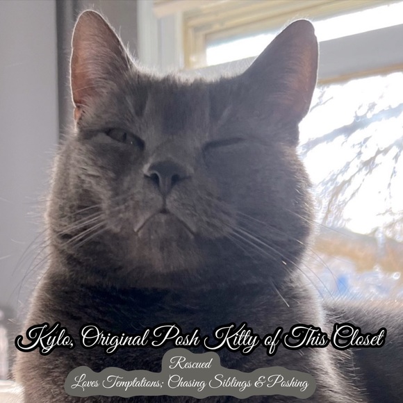 Share Show | Come Join Us Like This Post |CATSDRAGGEDITIN | Let’s Share & Sell - Picture 4 of 15